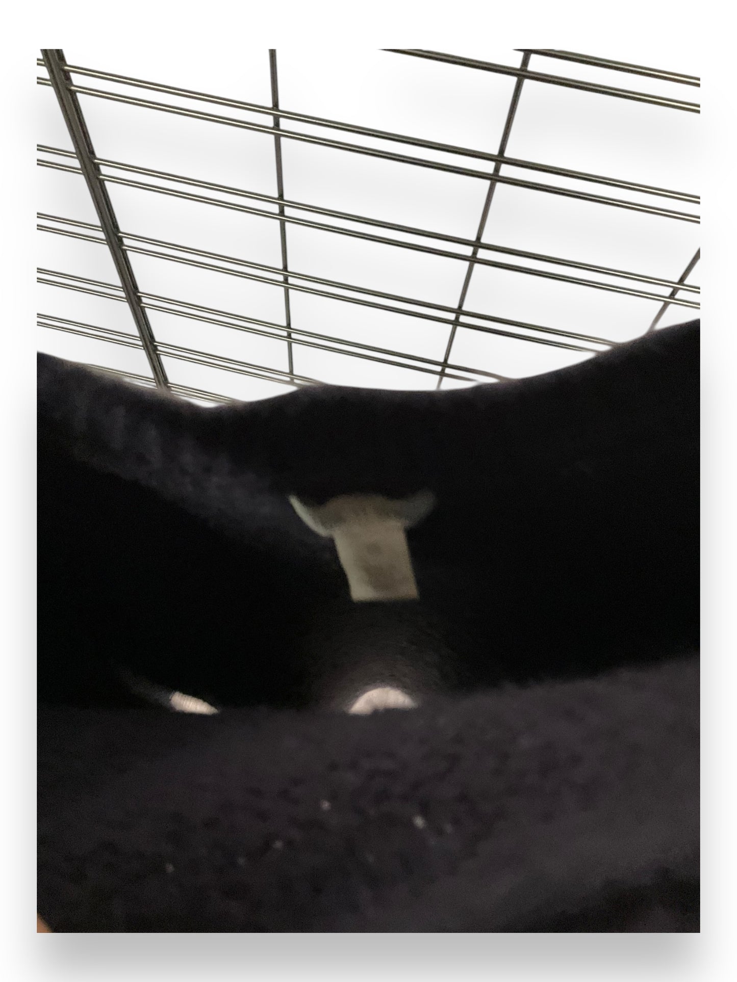 Sweater By Hinge In Purple, Size: M