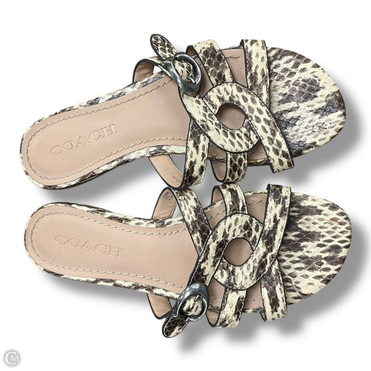 Sandals Flats By Coach In Snakeskin Print, Size: 6.5