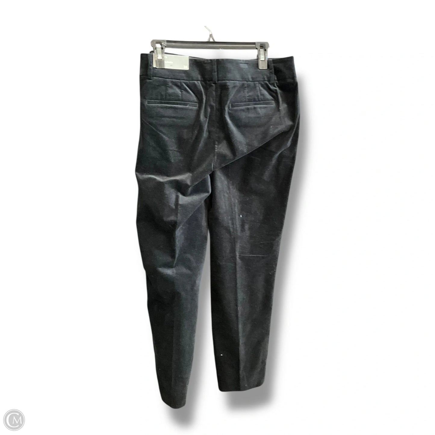 Pants Other By Talbots In Black, Size: 14