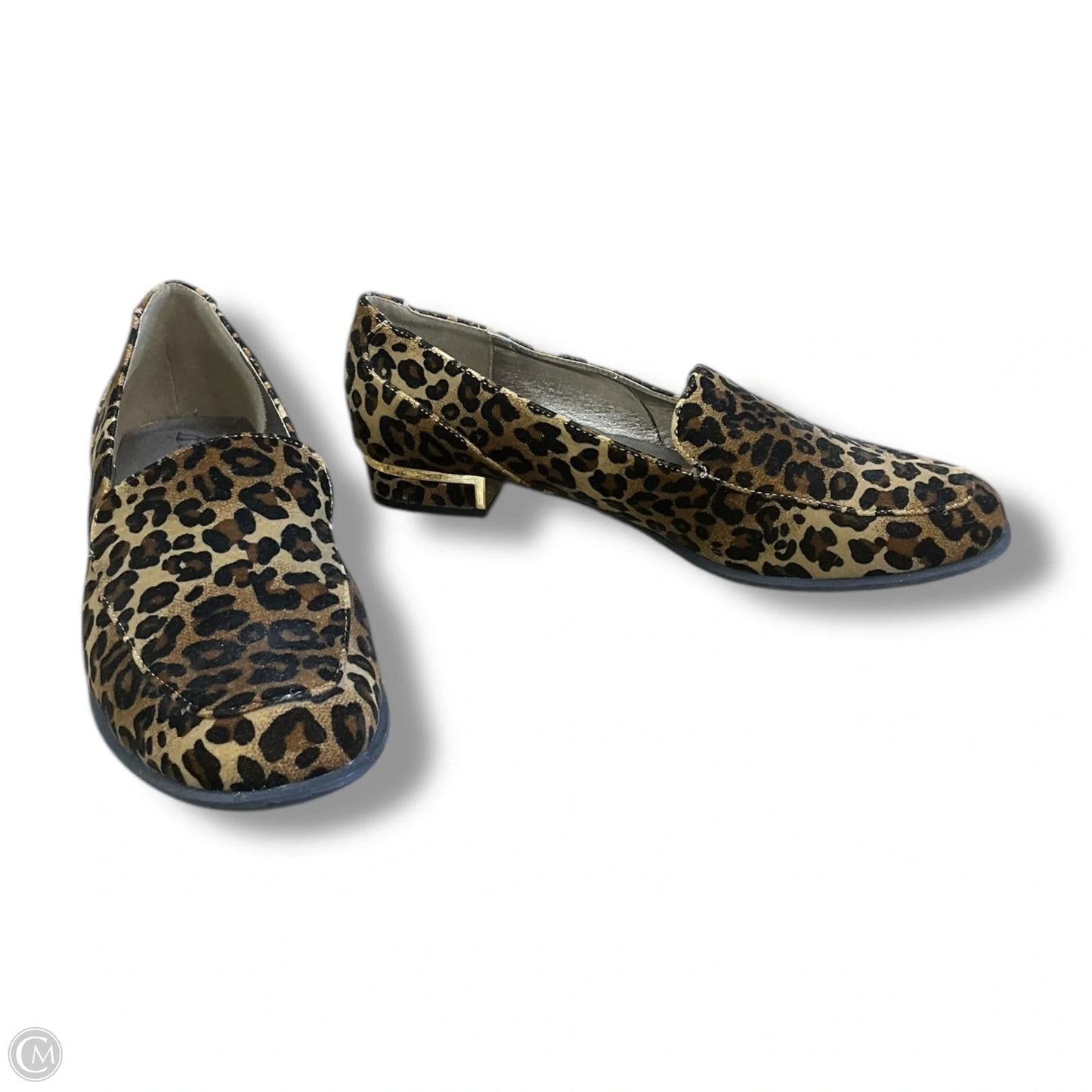 Shoes Flats By Bellini In Animal Print, Size: 11