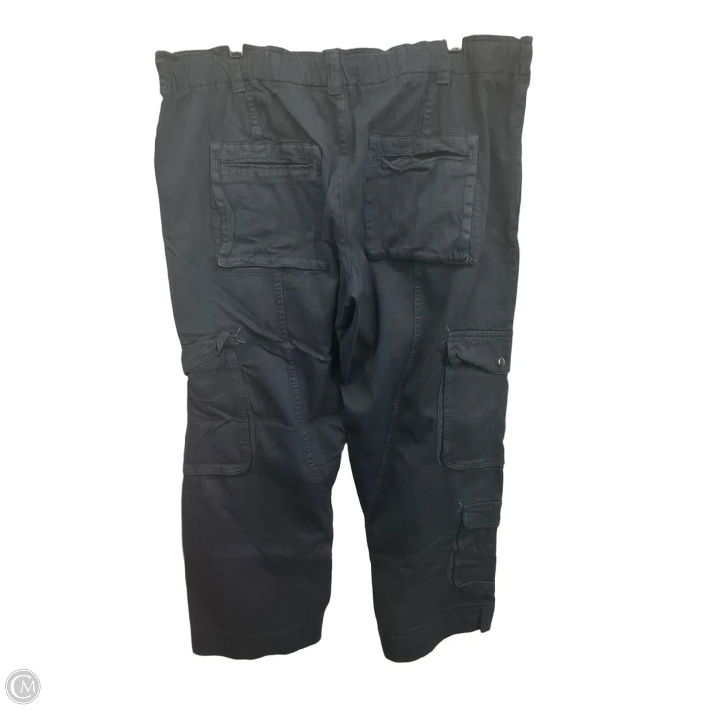 Pants Cargo & Utility By Free People In Black, Size: 16