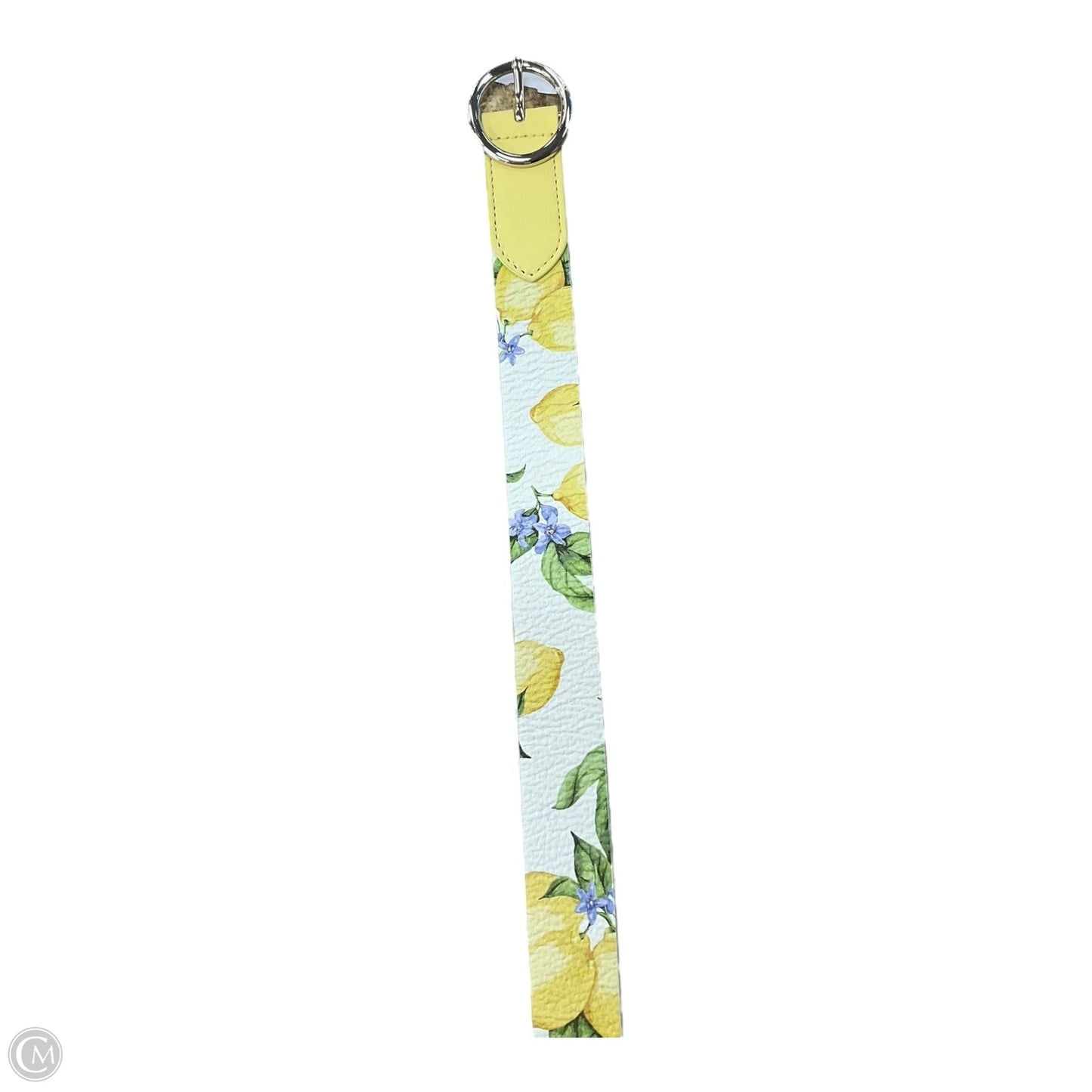 Belt Leather By Talbots, Size: Large