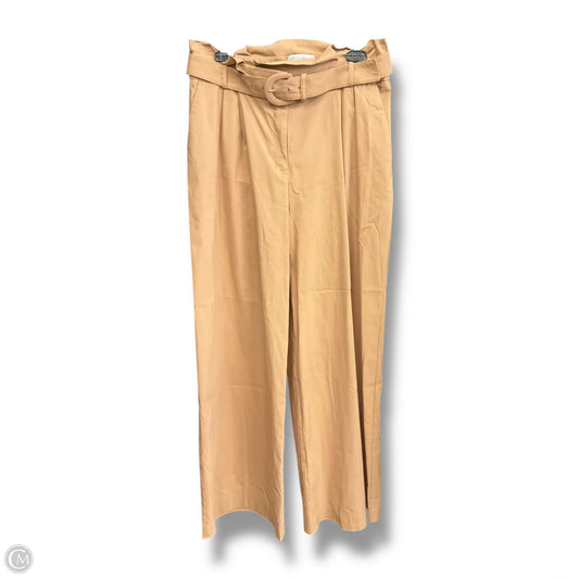 Pants Cargo & Utility By Express In Tan, Size: 12