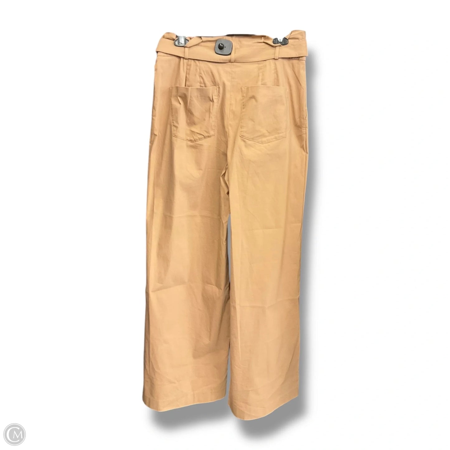 Pants Cargo & Utility By Express In Tan, Size: 12