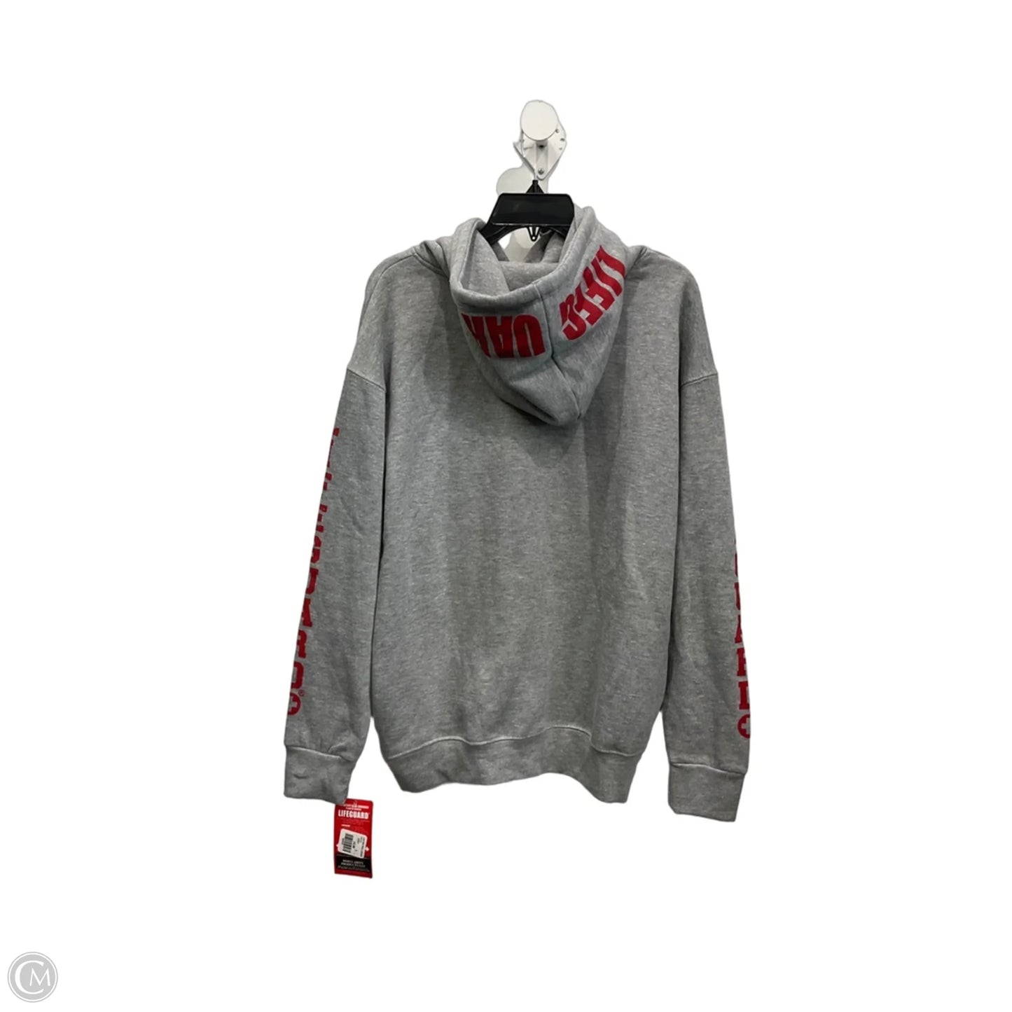 Sweatshirt Hoodie By Clothes Mentor In Grey, Size: L