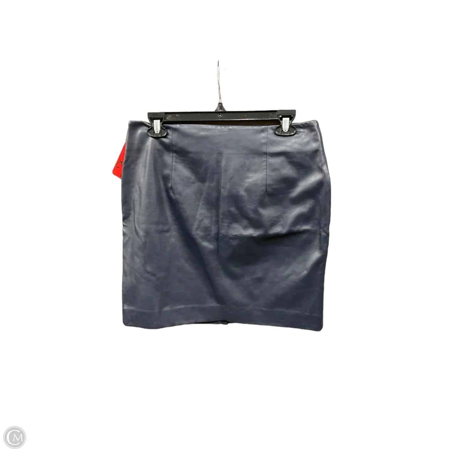 Skirt Mini & Short By Romeo And Juliet In Blue, Size: M