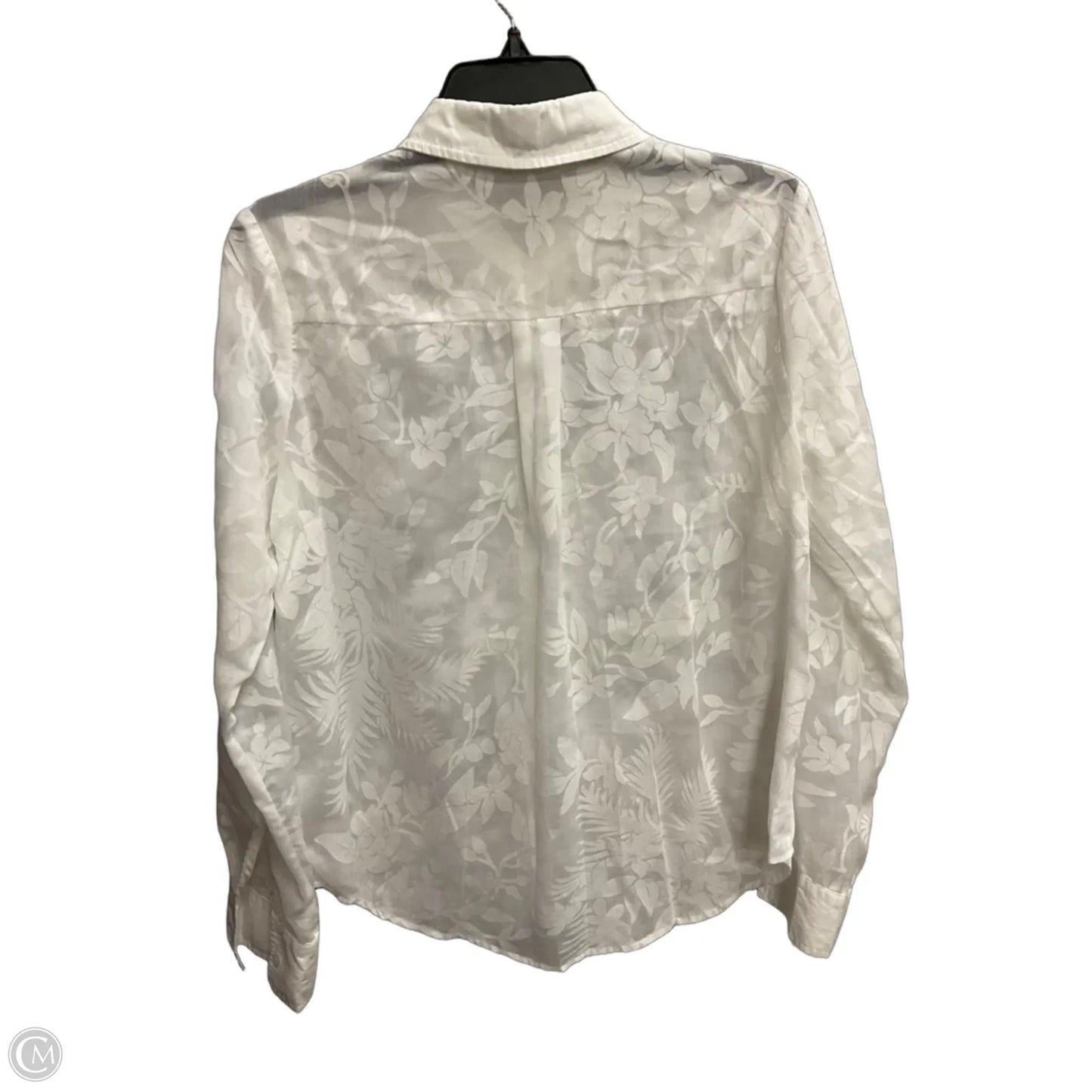 Blouse Long Sleeve By Doe & Rae In White, Size: M