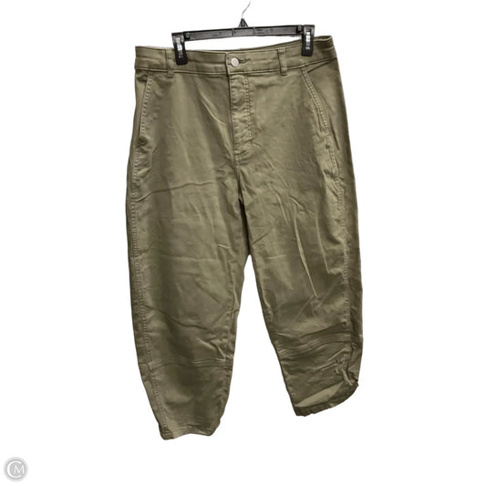 Pants Chinos & Khakis By Everlane In Green, Size: 14