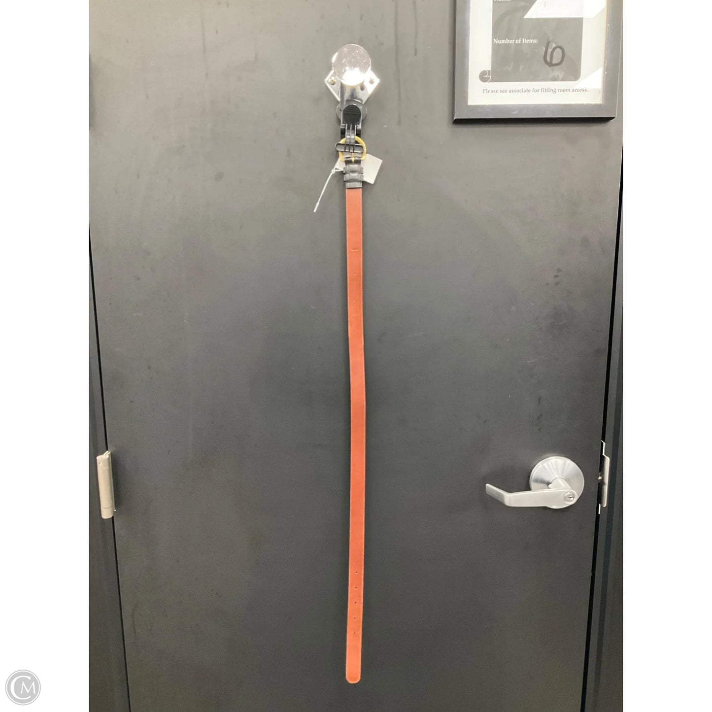 Belt Designer By Coach, Size: Small