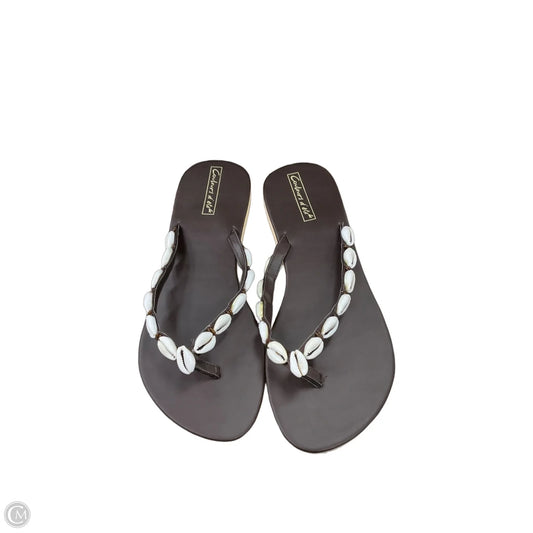 Sandals Flip Flops By Clothes Mentor In Brown, Size: 9