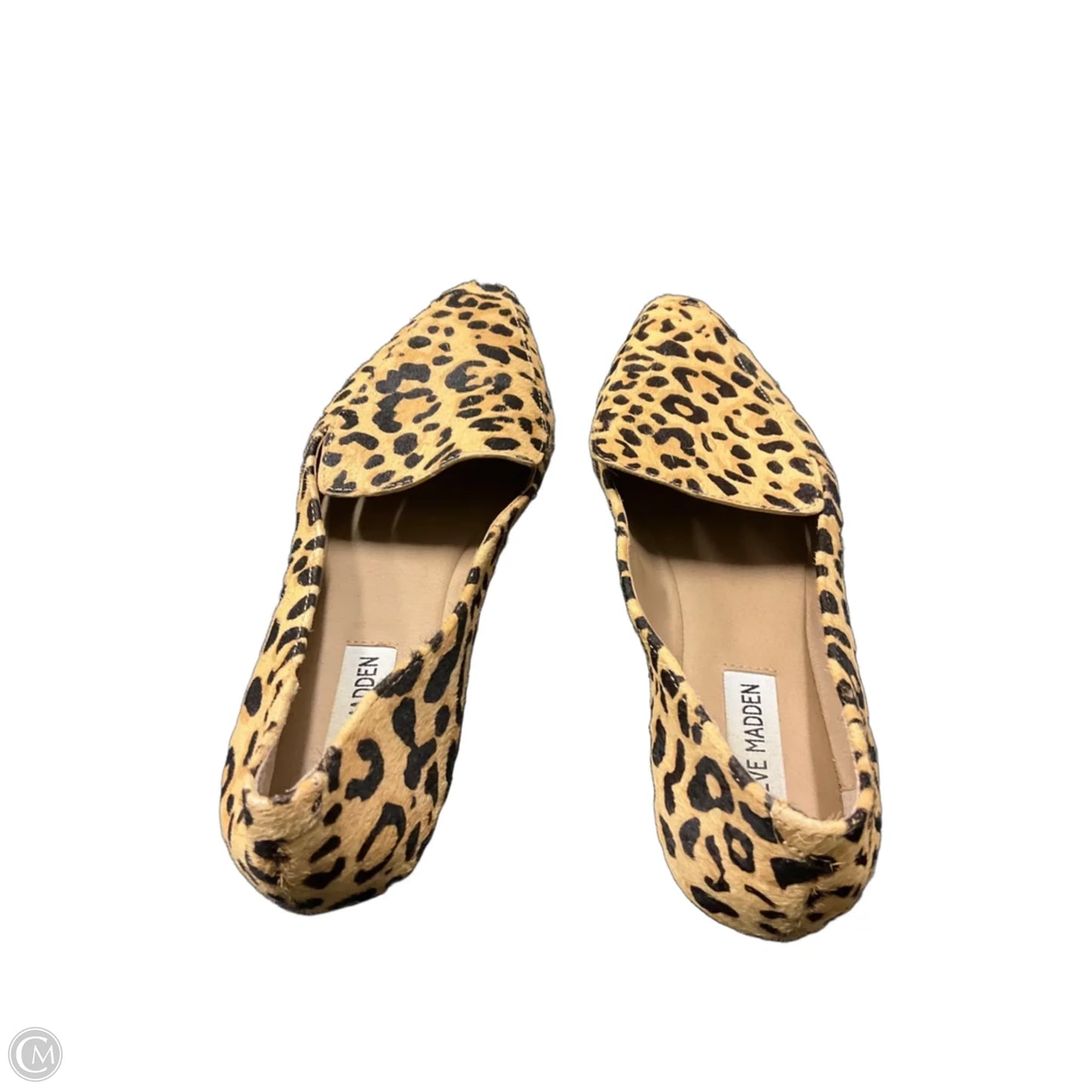 Shoes Flats By Steve Madden In Animal Print, Size: 7.5