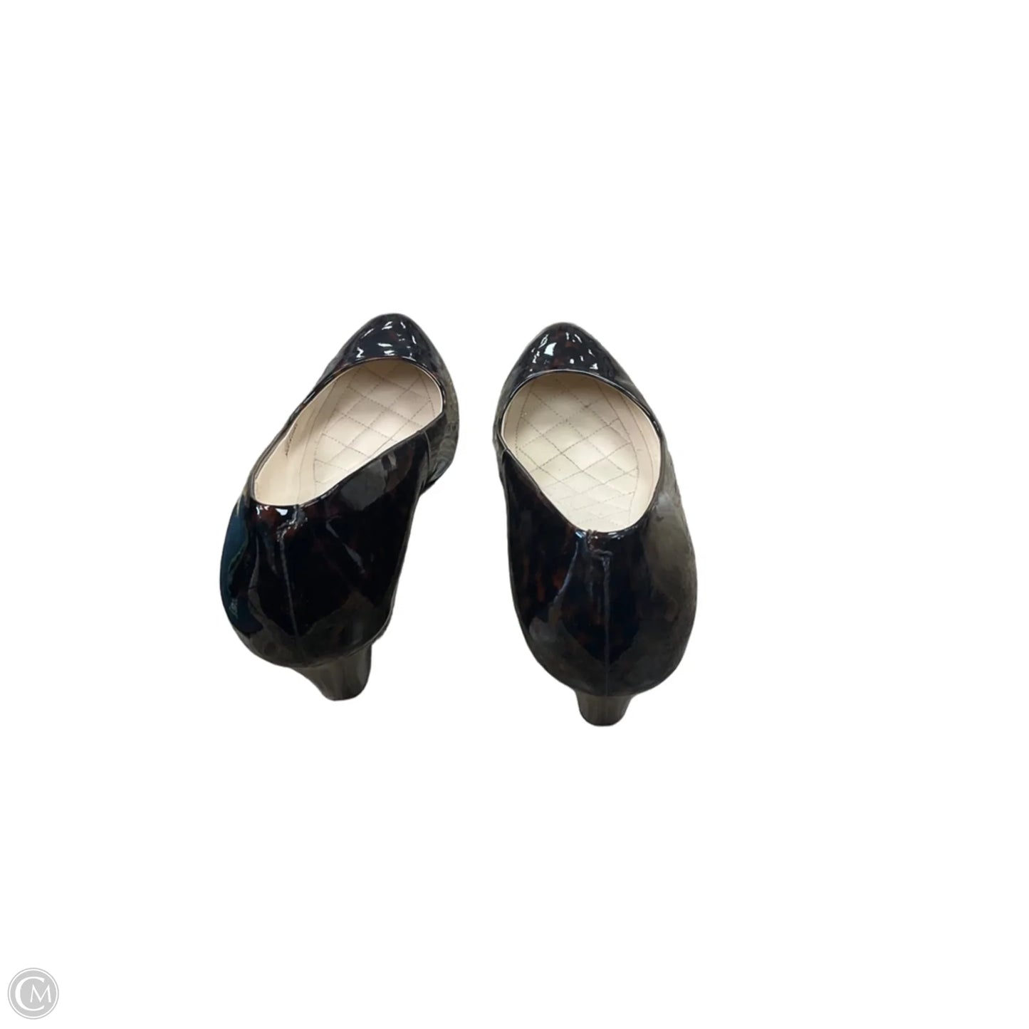 Shoes Heels Wedge By Cole-haan In Animal Print, Size: 6.5