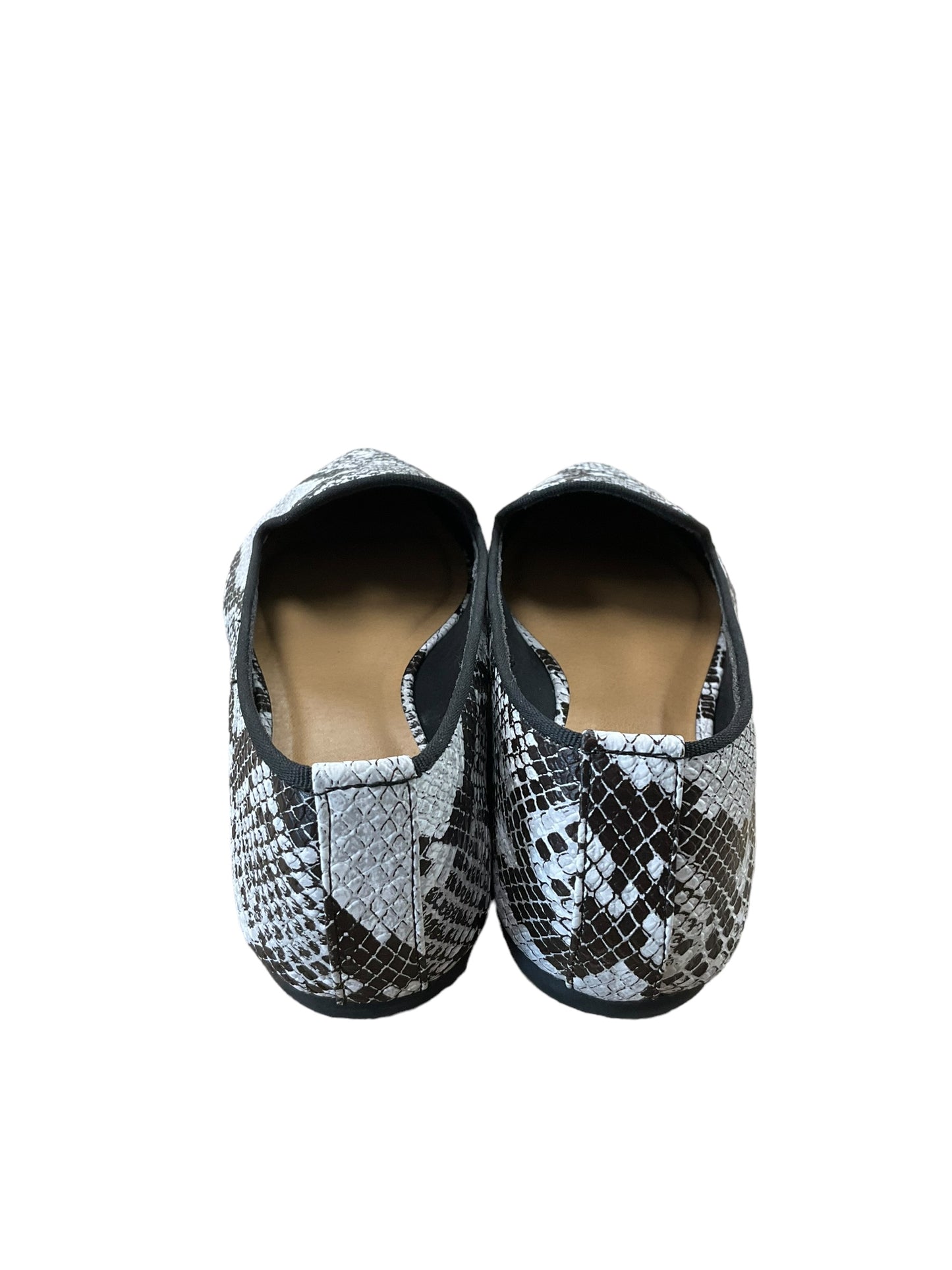 Shoes Flats By Cmc In Snakeskin Print, Size: 8.5