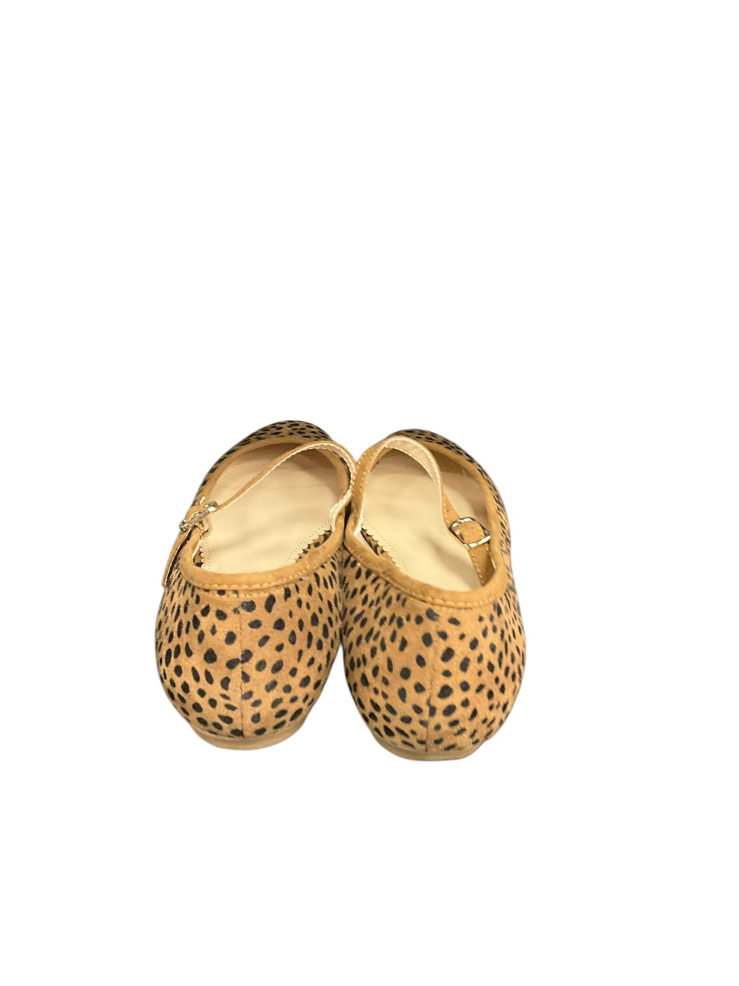 Shoes Flats By Clothes Mentor In Animal Print, Size: 8.5