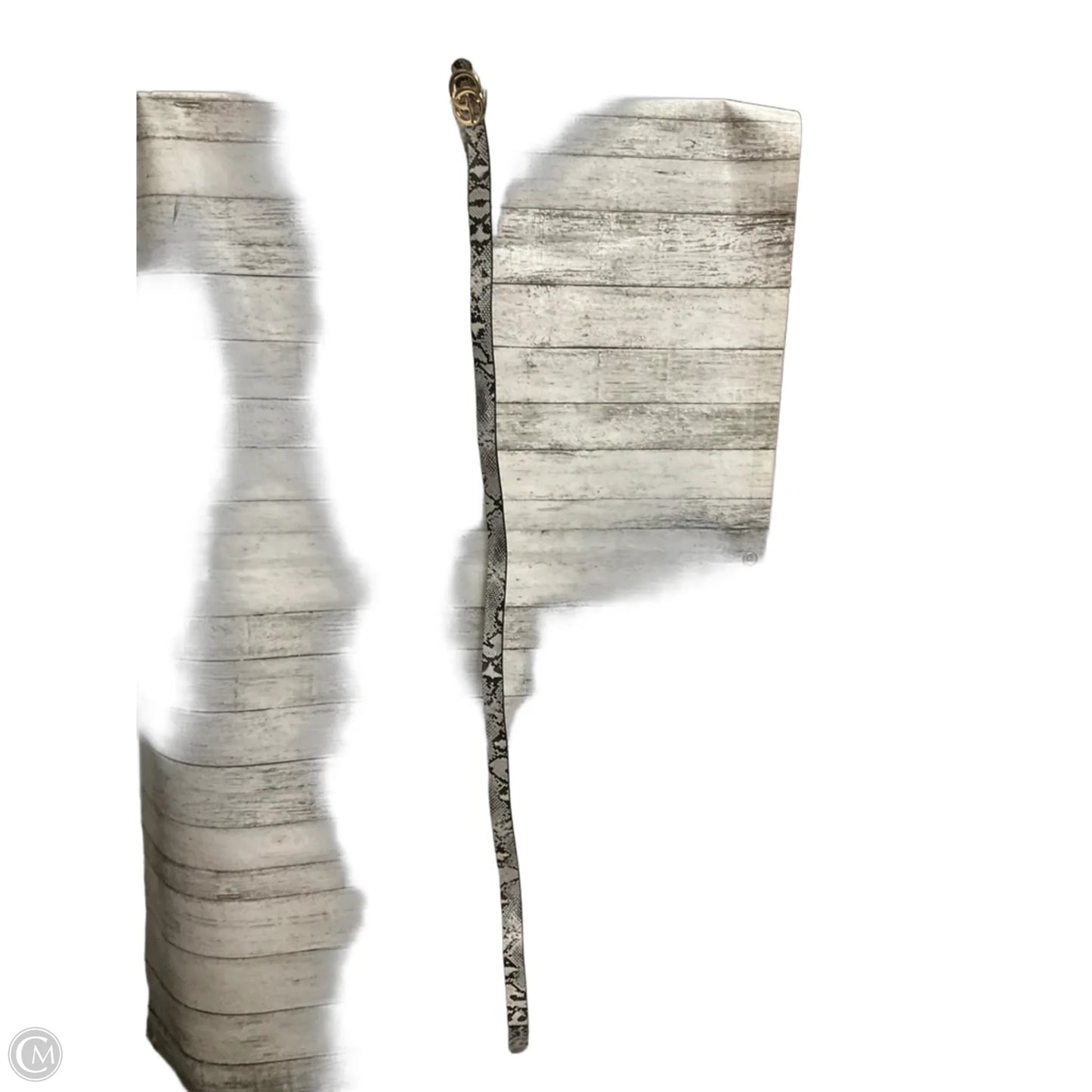 Belt By Clothes Mentor