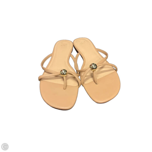 Sandals Flats By A New Day In Brown, Size: 11