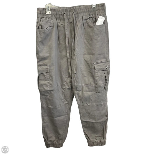 Pants Cargo & Utility By Rewash In Grey, Size: 12