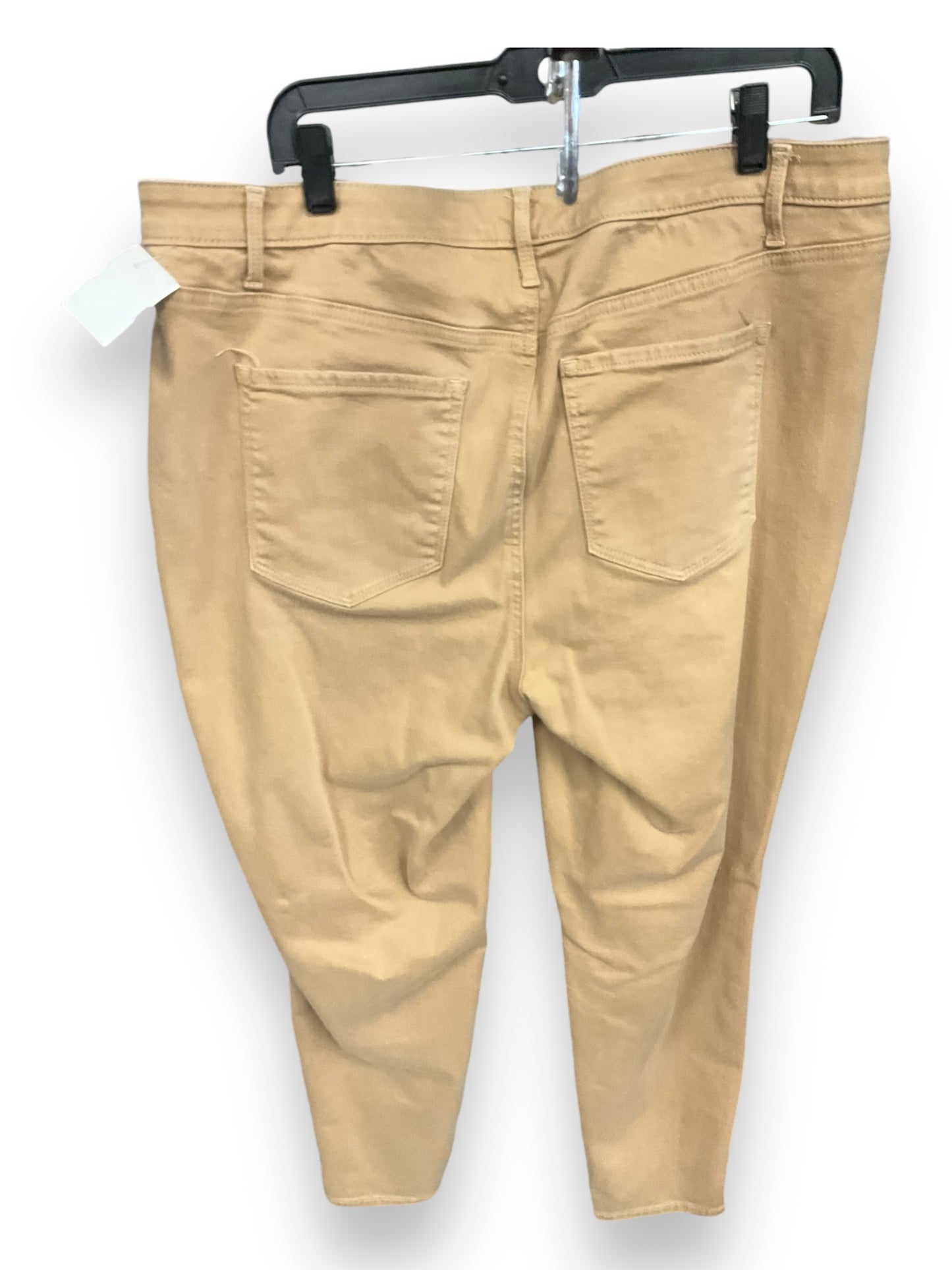 Pants Leggings By Talbots In Tan, Size: 18