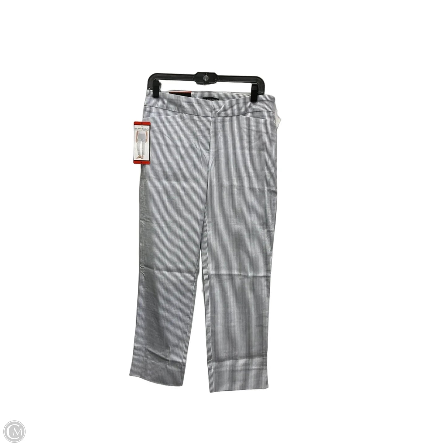 Pants Other By Hilary Radley In Blue & White, Size: 8