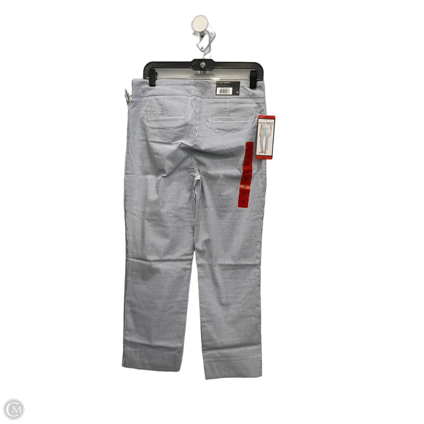 Pants Other By Hilary Radley In Blue & White, Size: 8