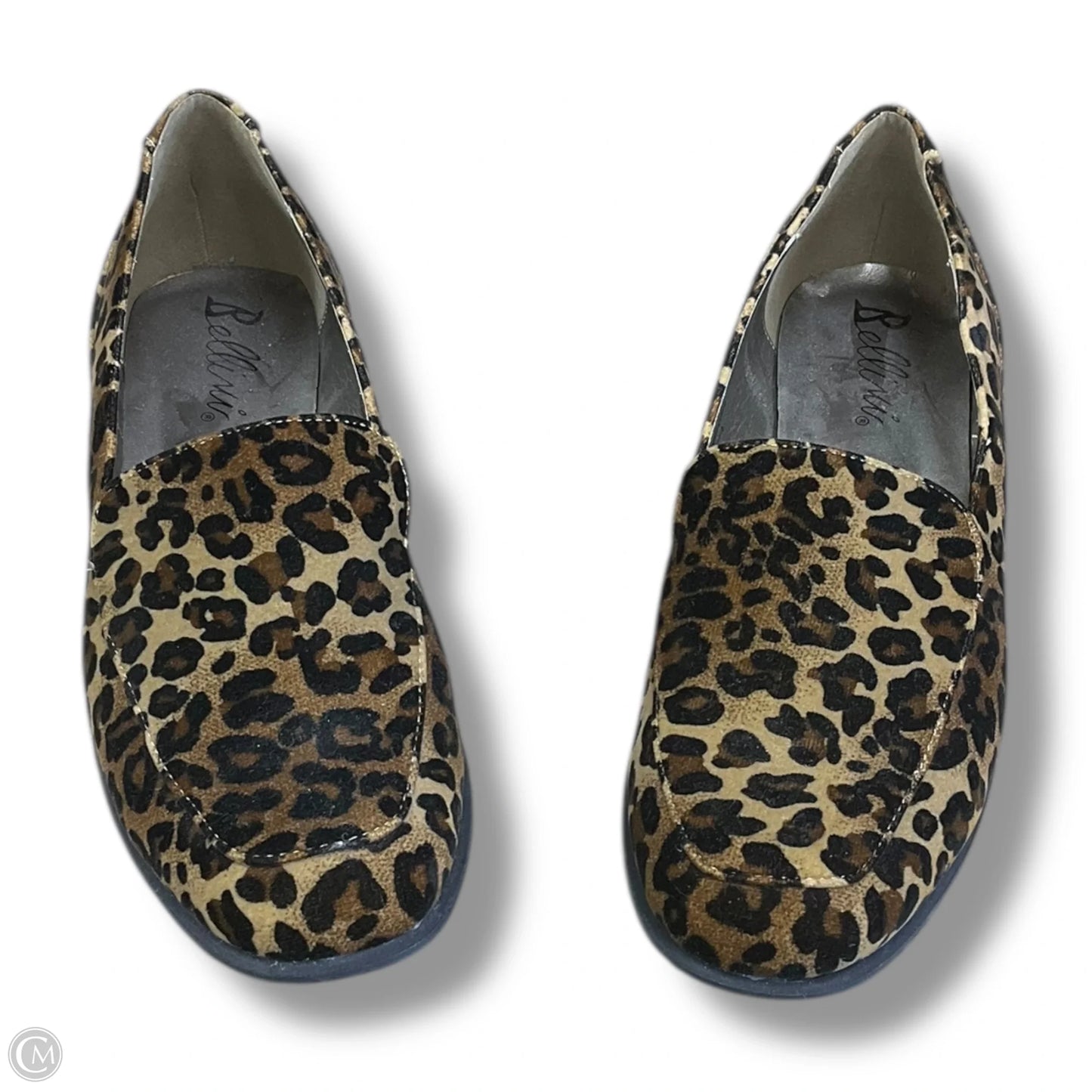 Shoes Flats By Bellini In Animal Print, Size: 11
