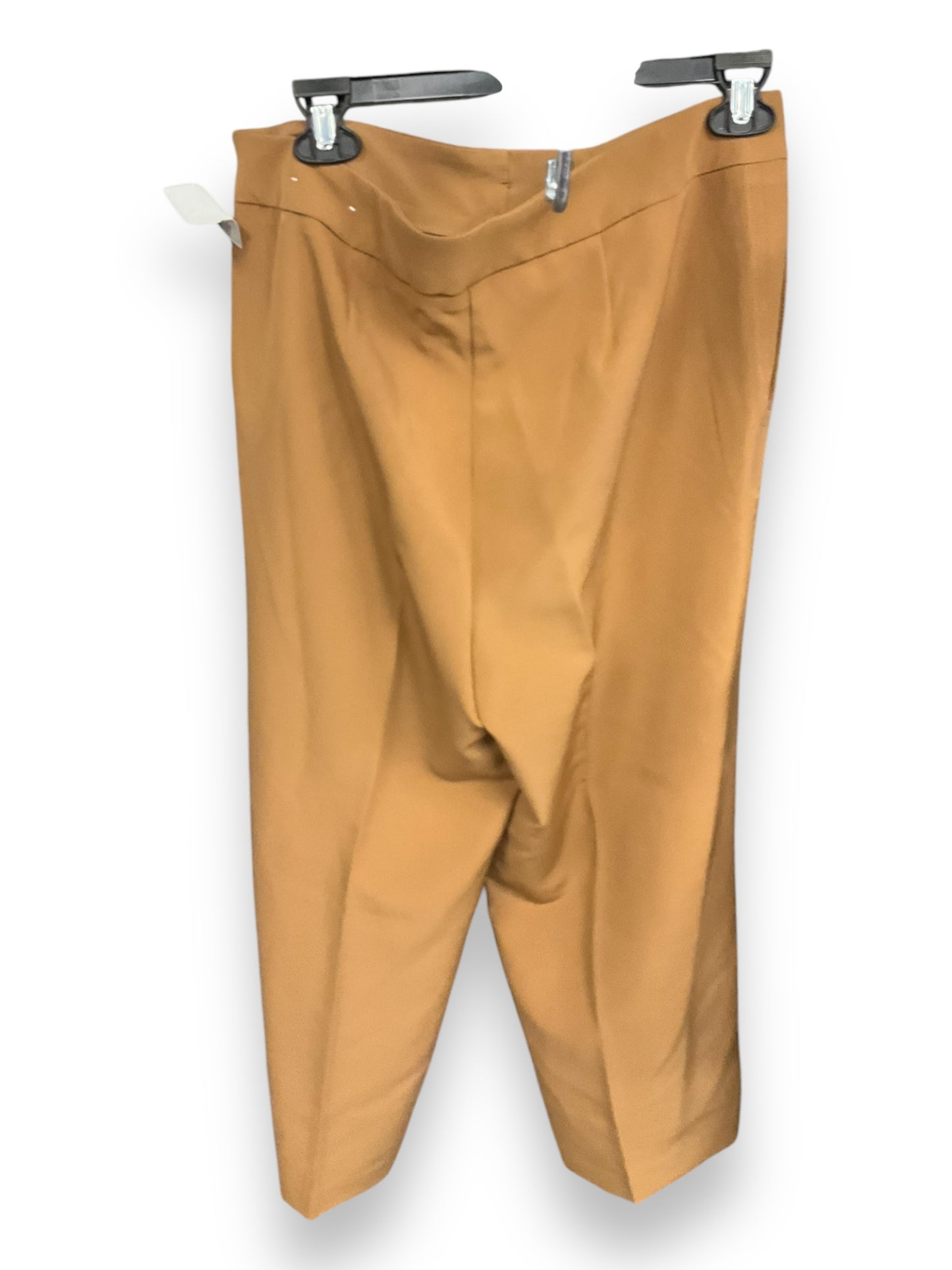 Pants Chinos & Khakis By Clothes Mentor In Brown, Size: 10