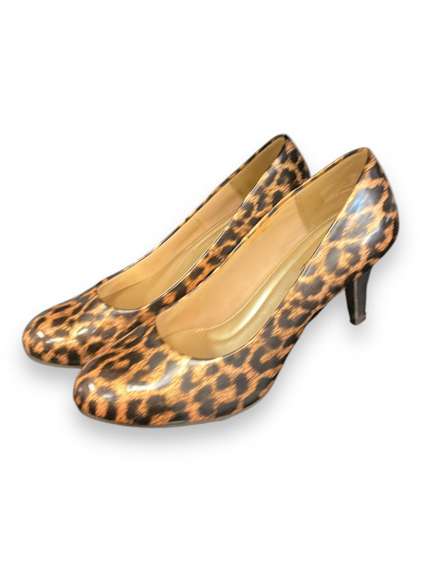 Shoes Heels Stiletto By Predictions In Leopard Print, Size: 7