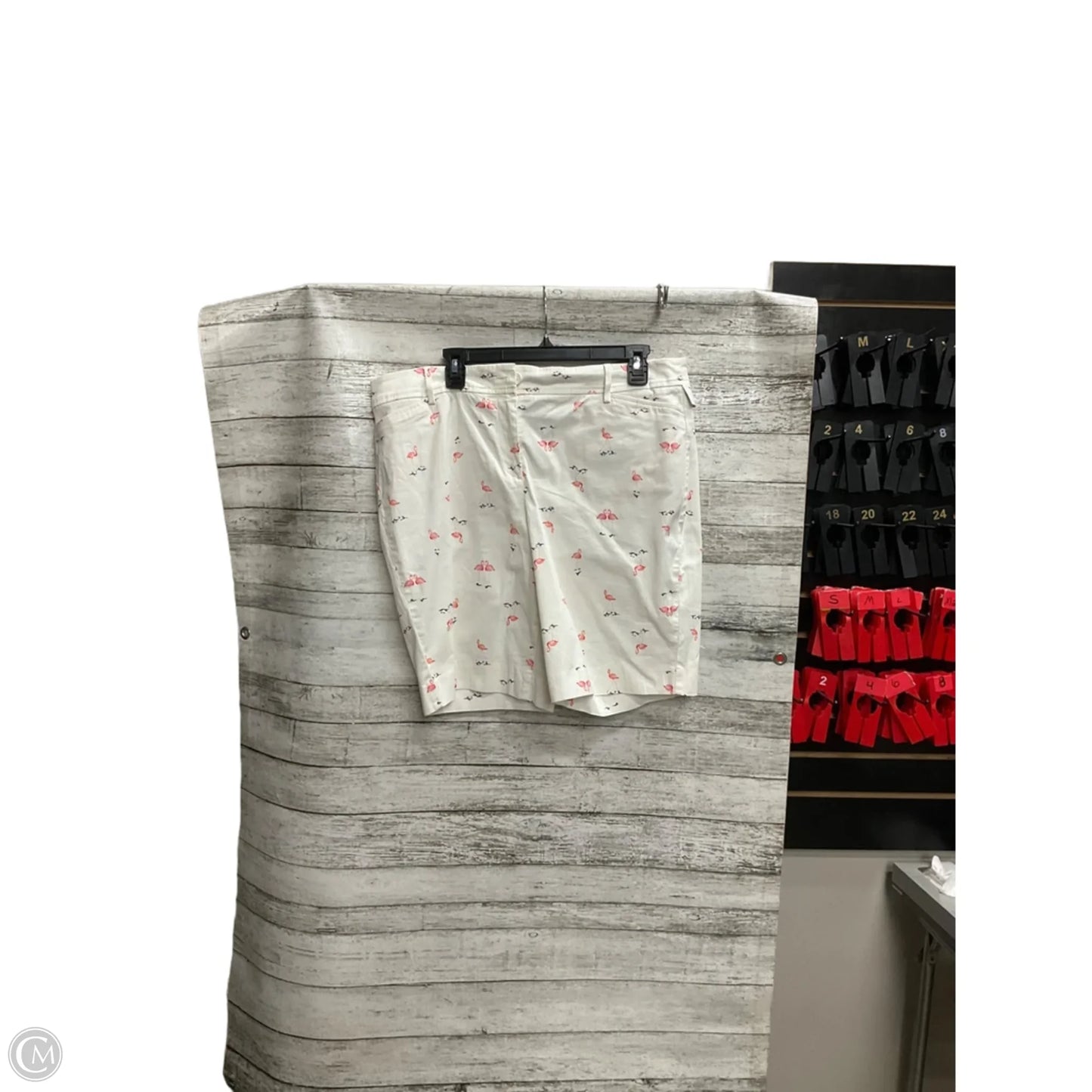 Shorts By Talbots In White, Size: 16