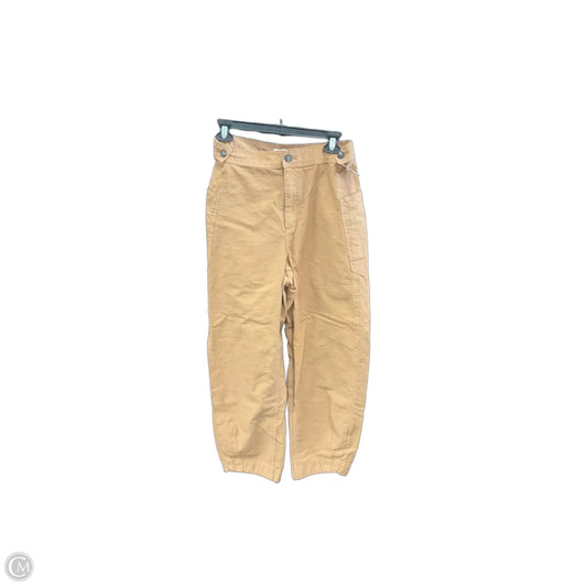 Pants Chinos & Khakis By Everlane In Brown, Size: 4