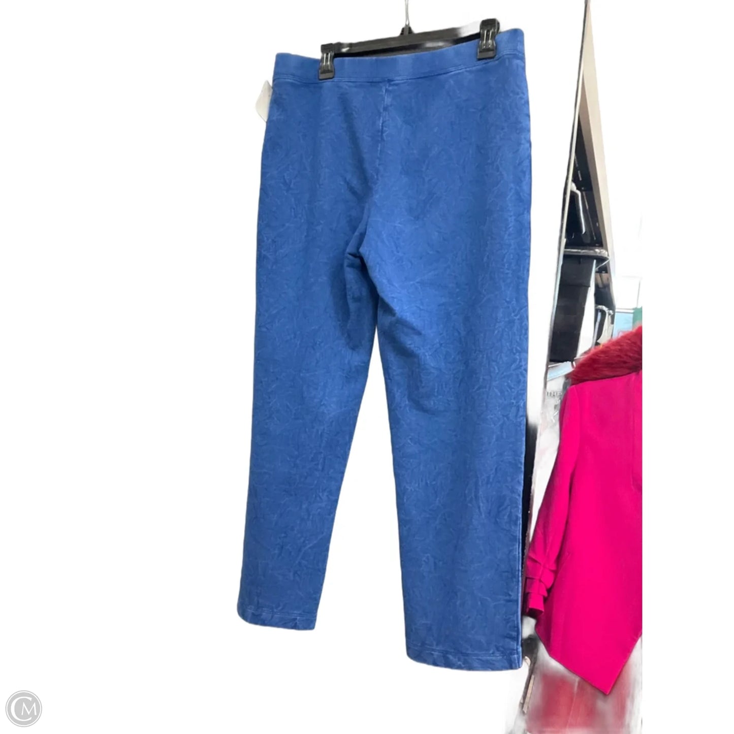 Athletic Pants By J. Jill In Blue, Size: Sp