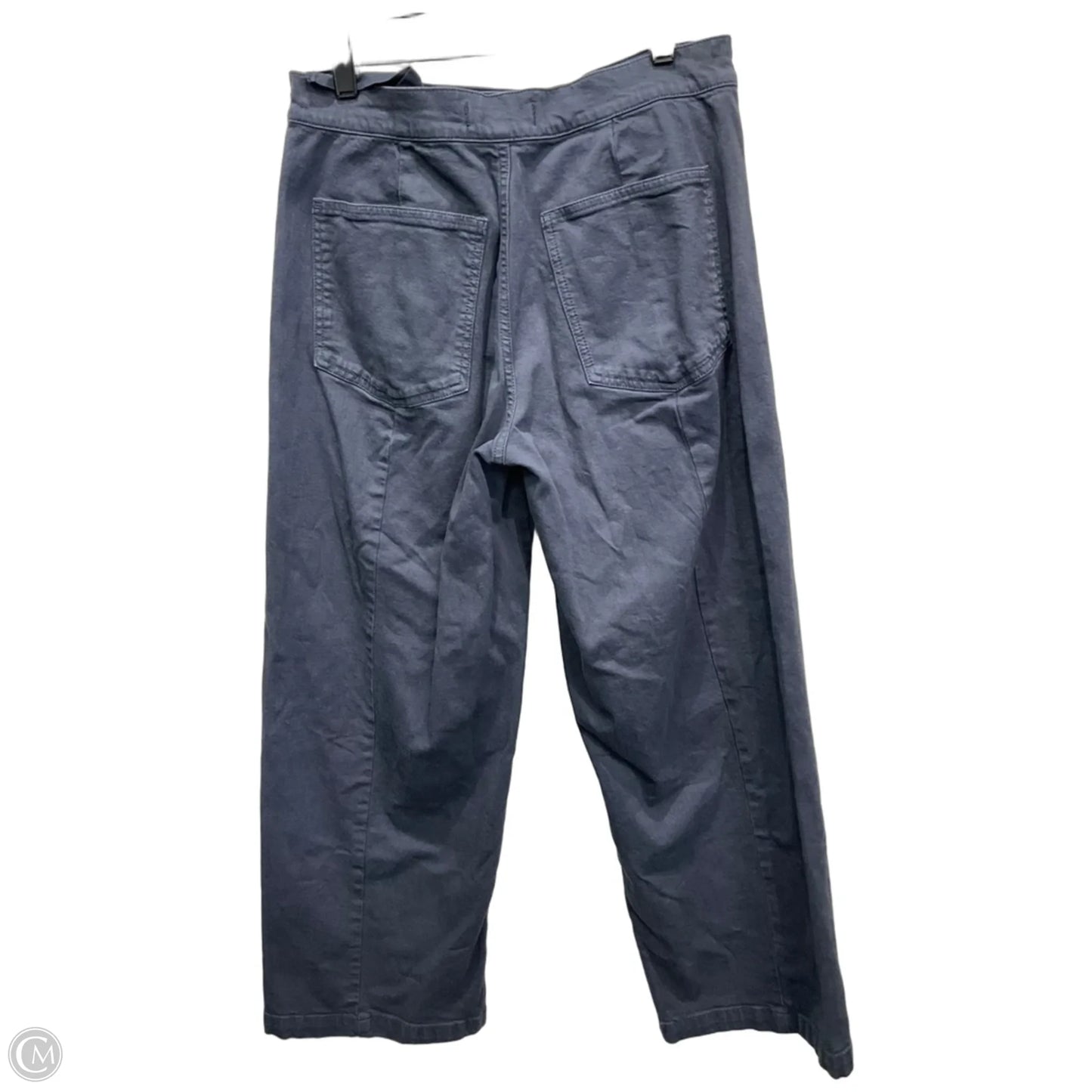 Pants Chinos & Khakis By Madewell In Blue, Size: 6