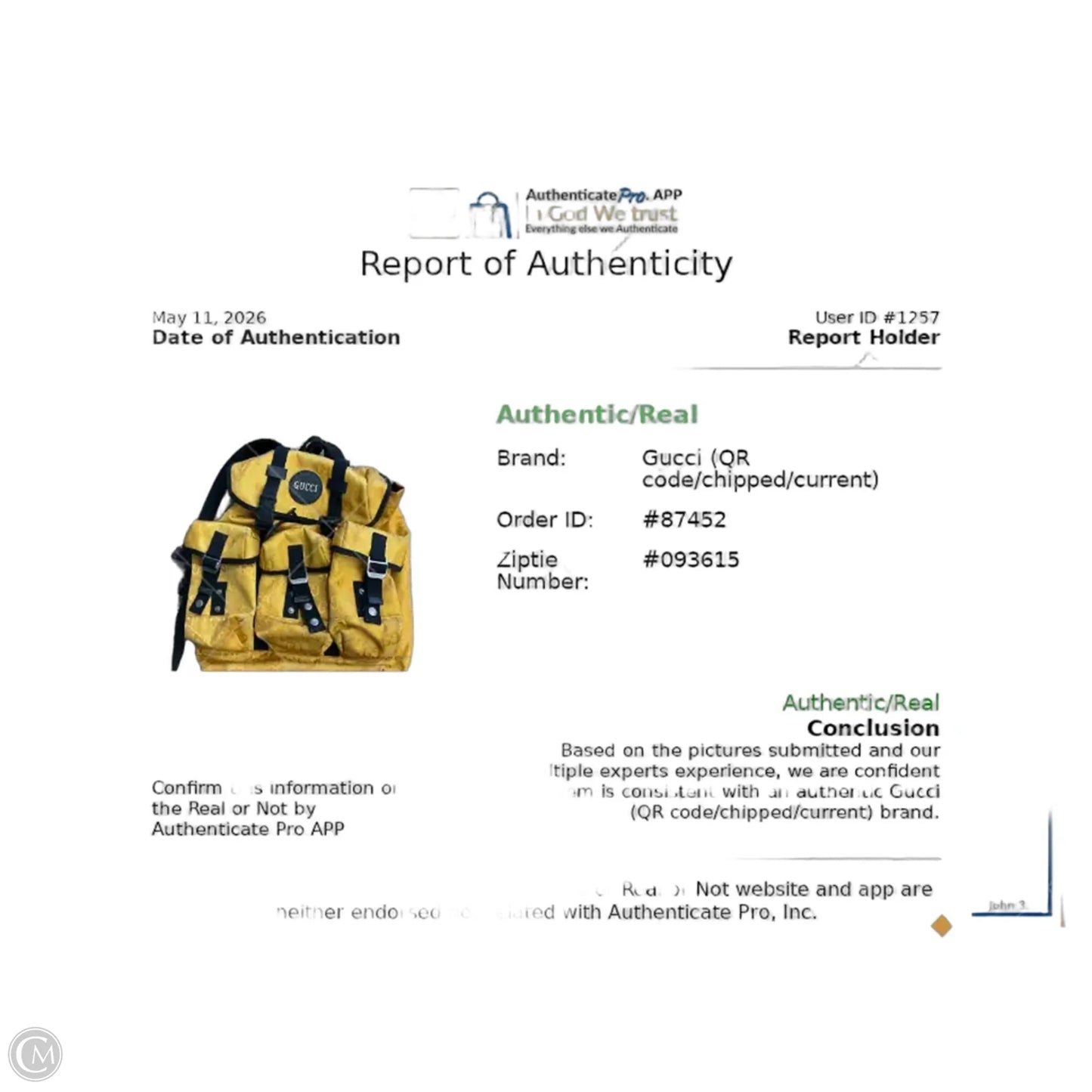 Backpack Luxury Designer By Gucci, Size: Large