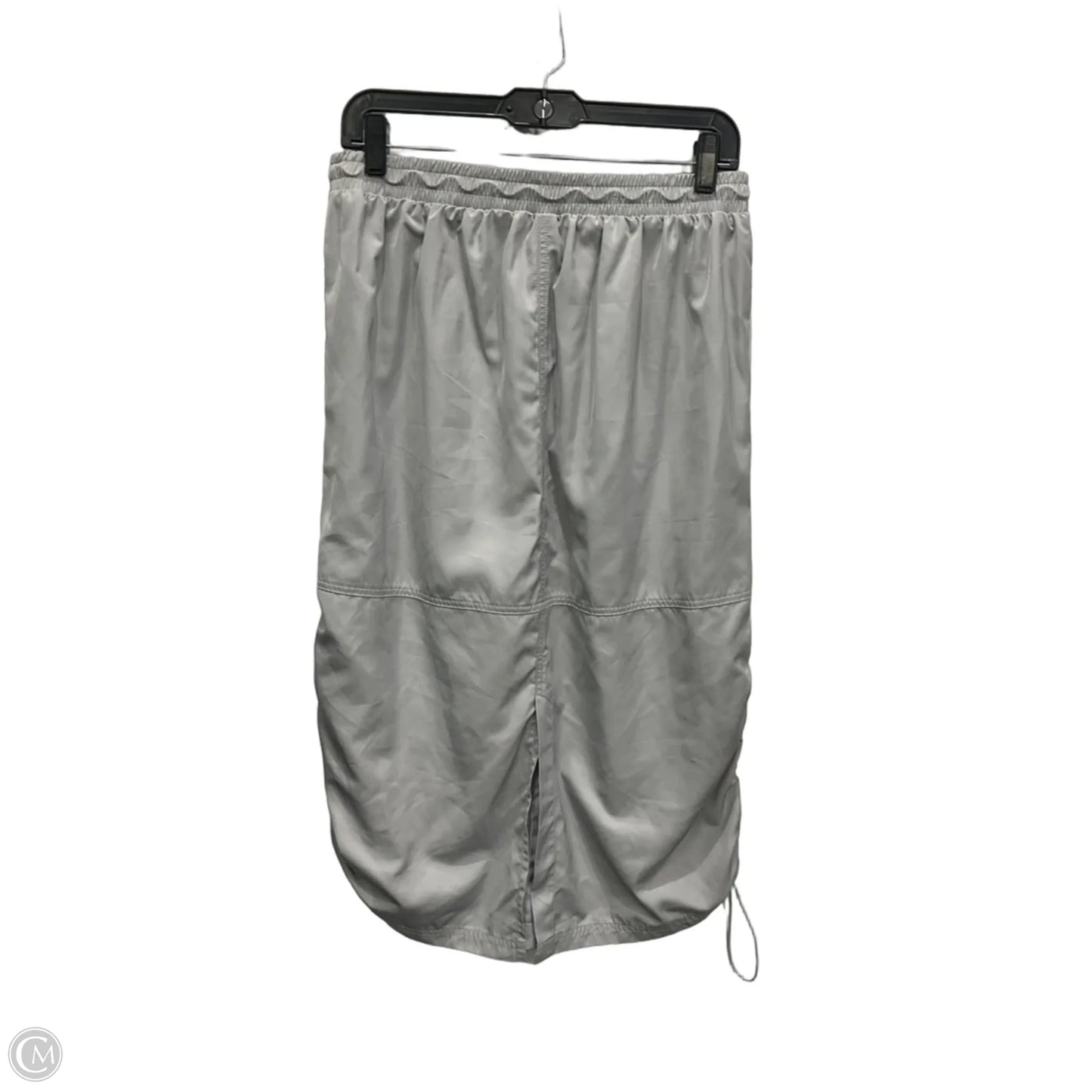 Skirt Maxi By Wild Fable In Grey, Size: 8