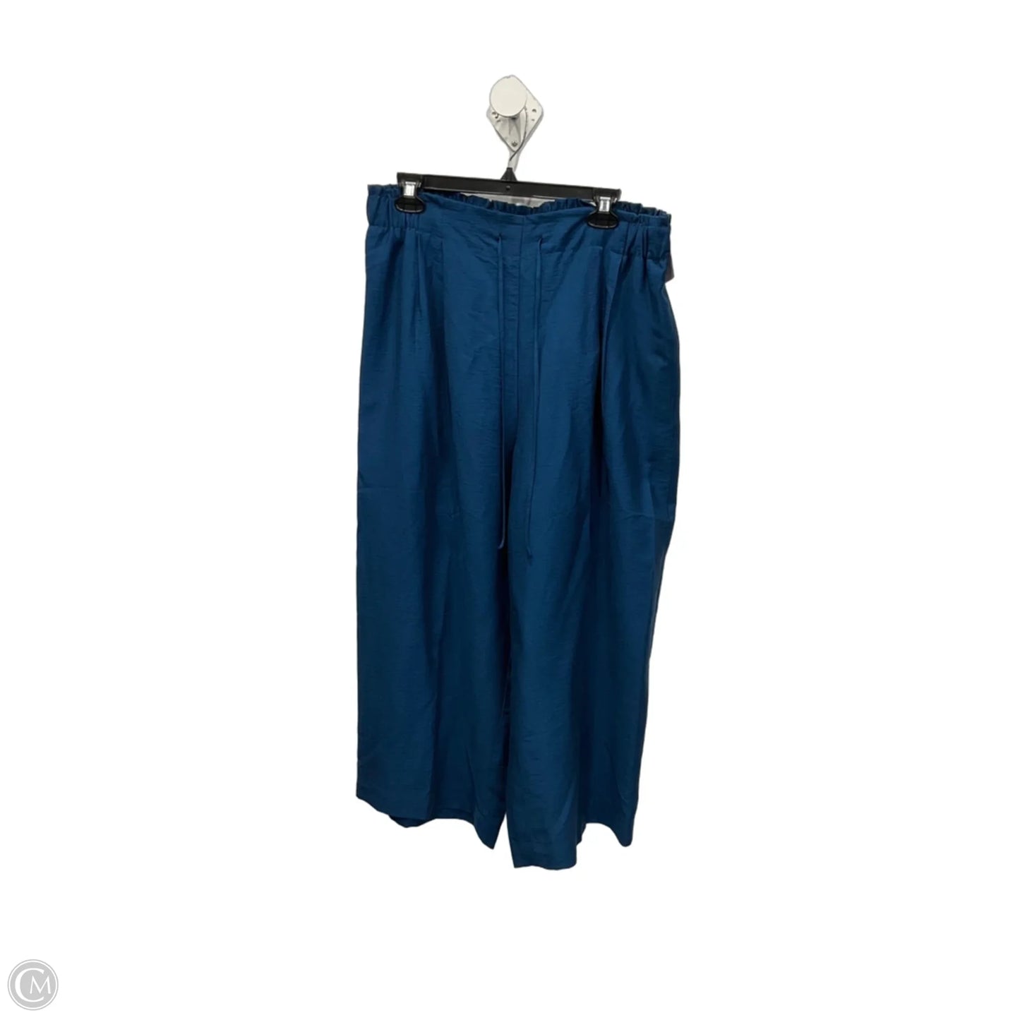 Pants Wide Leg By Chicos In Blue, Size: 12
