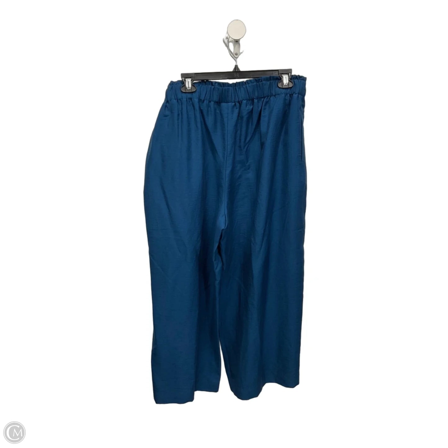 Pants Wide Leg By Chicos In Blue, Size: 12