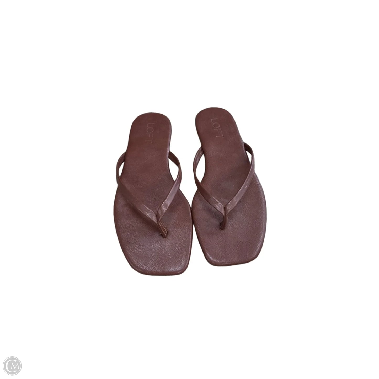 Sandals Flip Flops By Loft In Brown, Size: 7