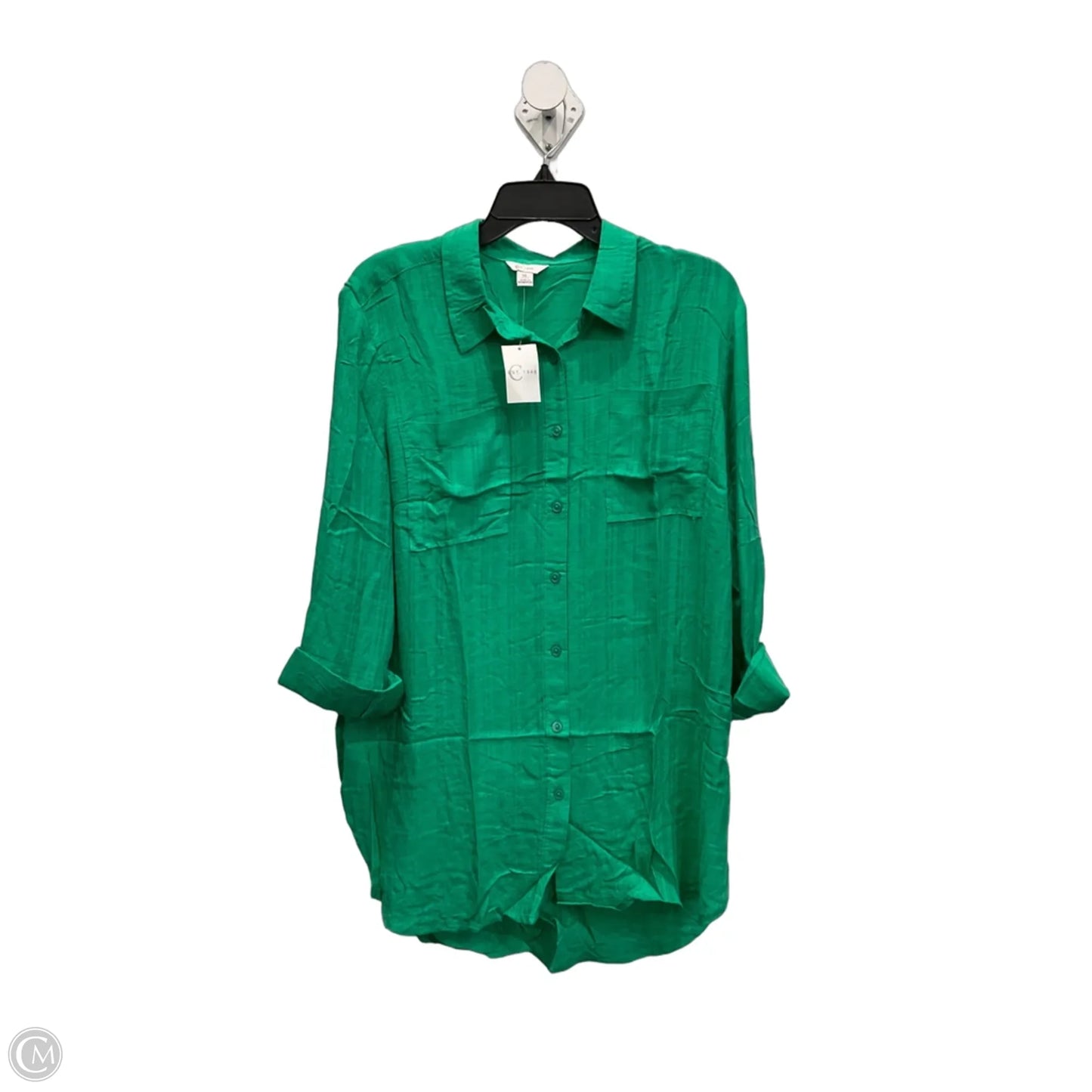 Blouse Long Sleeve By C Est. 1946 In Green, Size: Xl