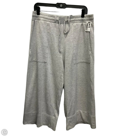 Athletic Pants By Quince In Grey, Size: L