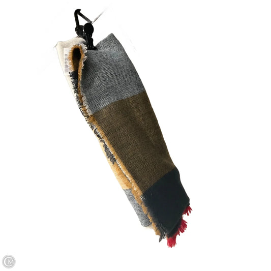 Scarf Winter By Clothes Mentor In Multi-colored