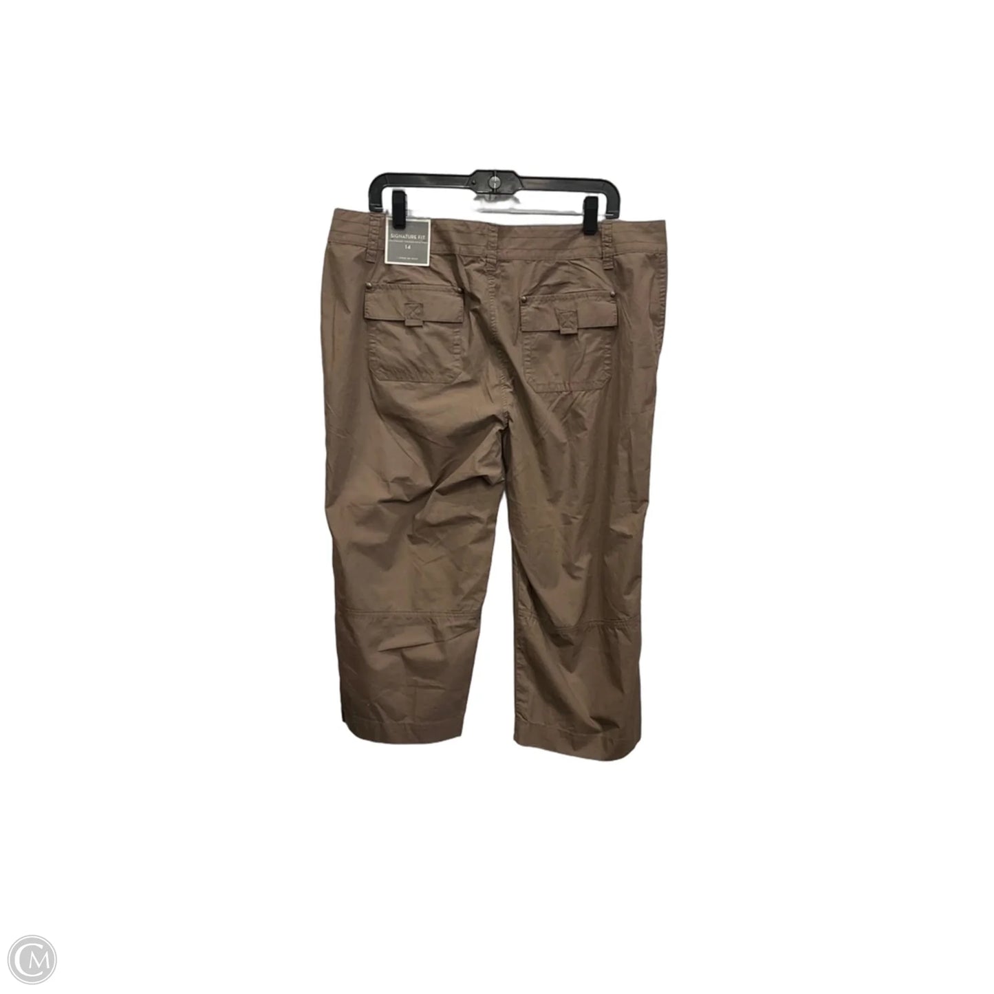 Capris By Ann Taylor In Brown, Size: 14