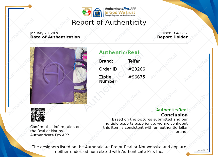 Crossbody Designer By Telfar, Size: Large